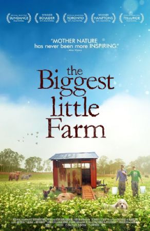 Intro Festival – Movie «The Biggest Little Farm»