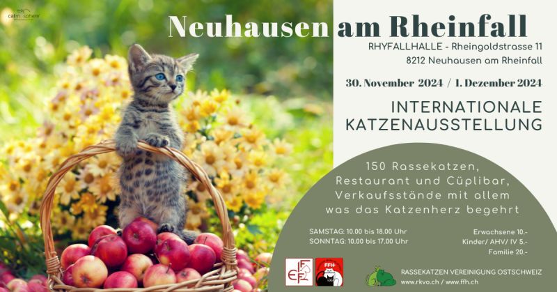 Internationale Katzenausstellung