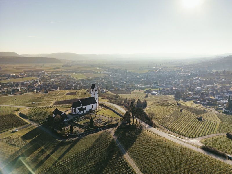 Hallauer Gässliwanderung