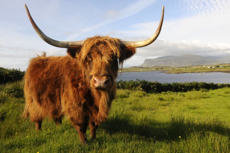 SCHOTTLAND Live-Reportage