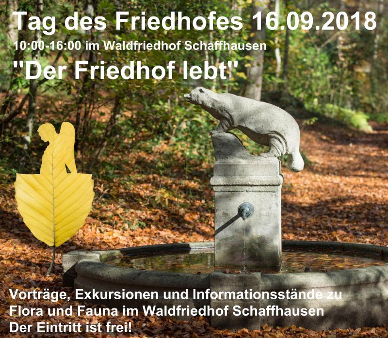 Tag des Friedhofes 2018