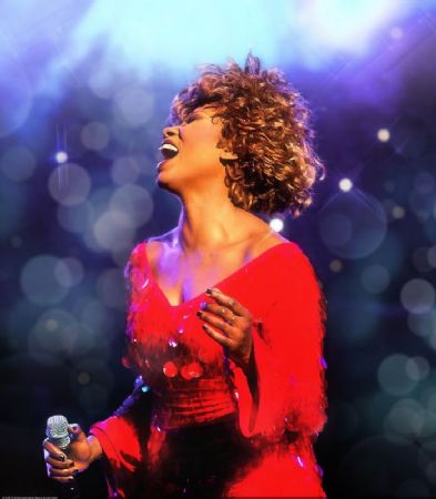 Simply the Best – Die Tina Turner Story
