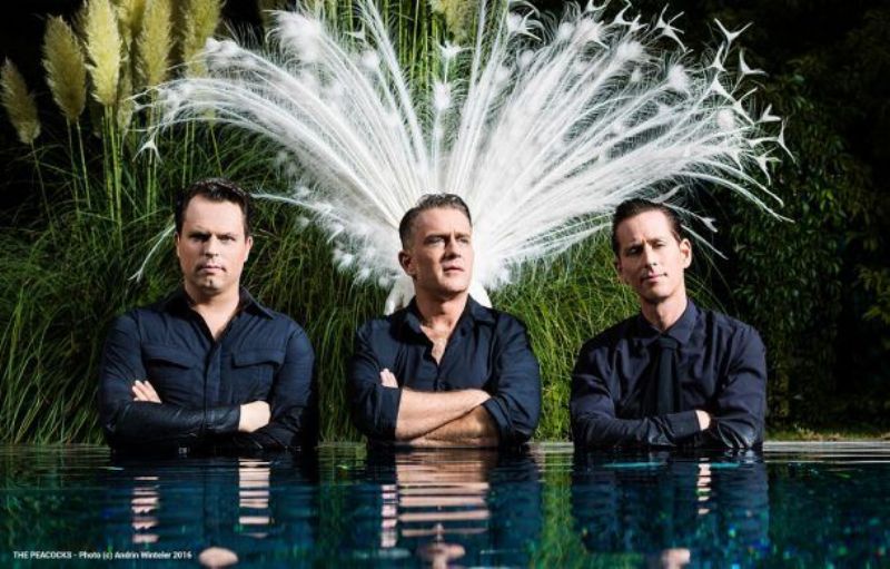 The Peacocks (CH)