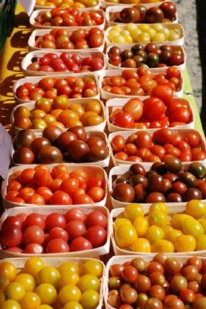 8. Markt der Vielfalt