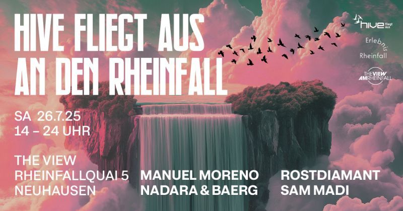 Hive fliegt aus an den Rheinfall