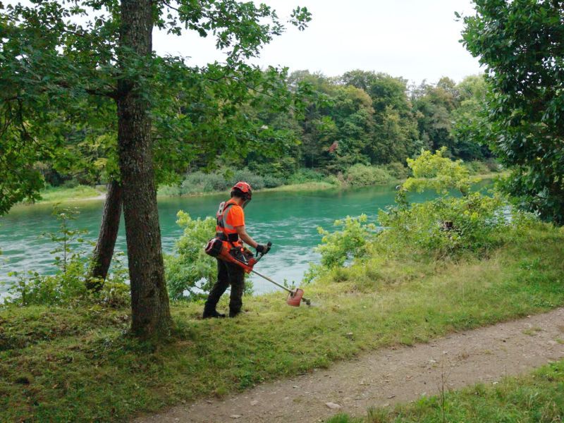 Wie Naturschutzpflege Vielfalt schafft