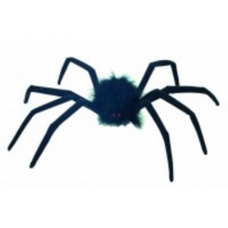 Die Schwarze Spinne