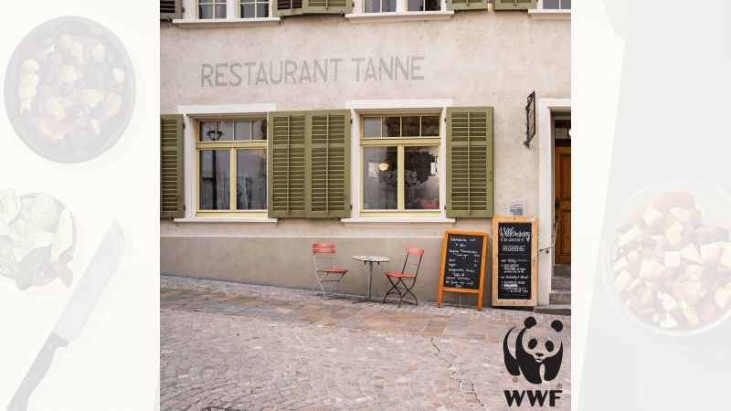 Veganer Kochkurs - WWF Schaffhausen x tanneschaffhausen