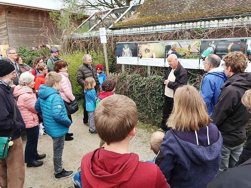 Familientag bei den Greifvögeln 1
