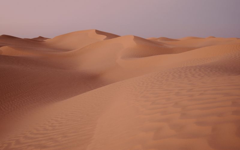 Frank Müller – «Sand im Auge»