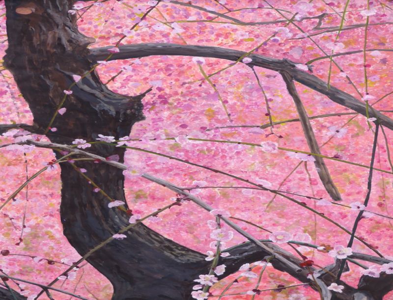 Urs Werner – Japan-Impressionen