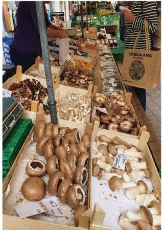 Gesunde und ökologische Ernährung, Biolandbau und Ökobilanzen von Nahrungsmitteln