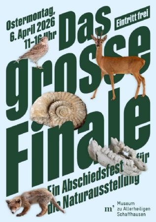 Das grosse Finale
