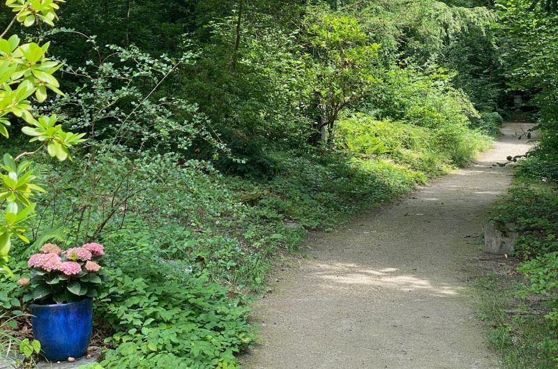 Waldfriedhof Geschichten 2026 mit Markus Sieber