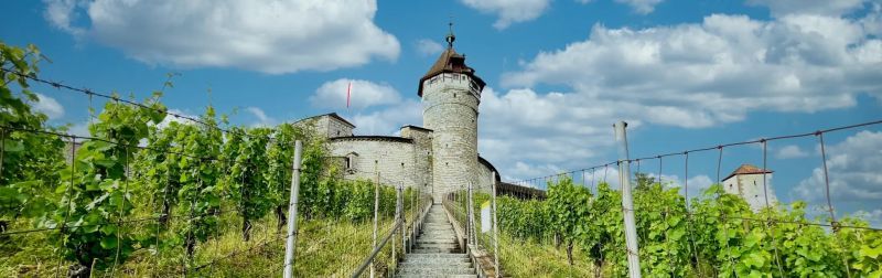 Laufsport: 4. Munot-Treppenlauf