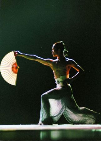 Chinesischer Nationalcircus