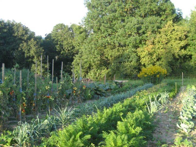 «S'Ländle» Der Bauerngarten auf der Höri, einst und jetzt
