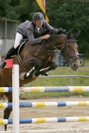 Springreiten