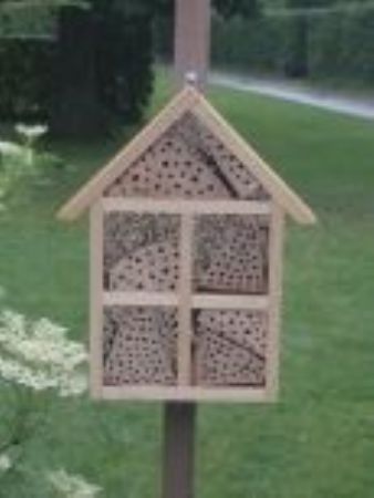 Ein Hotel für Wildbienen