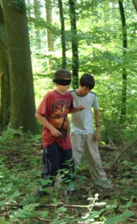Unterwegs im Wunderwald