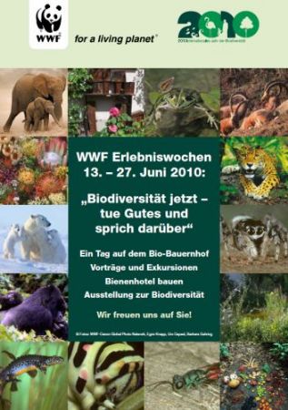 Wir bauen ein Bienenhotel!