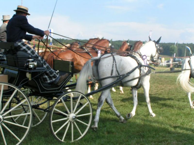OKV Fahrcup