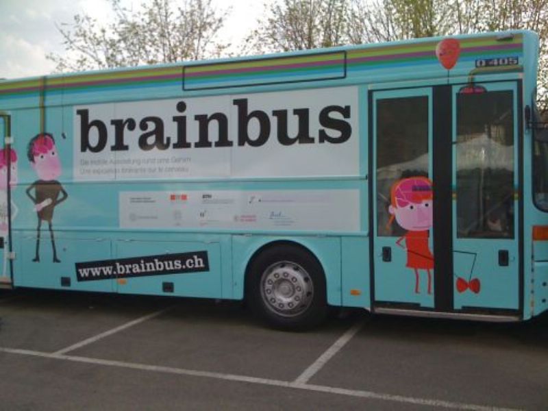 Brain Bus 