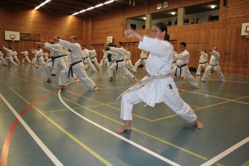 Karate Jugend- und Kinderturnier 2010