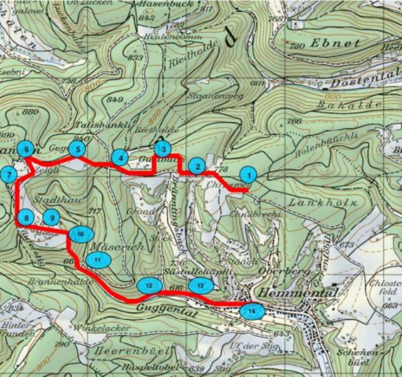 Herbstwanderung mit dem Stadtrat