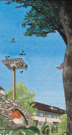 Wohnraum zu vermieten – Vögel bevorzugt