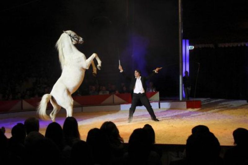 Singener Wintercircus