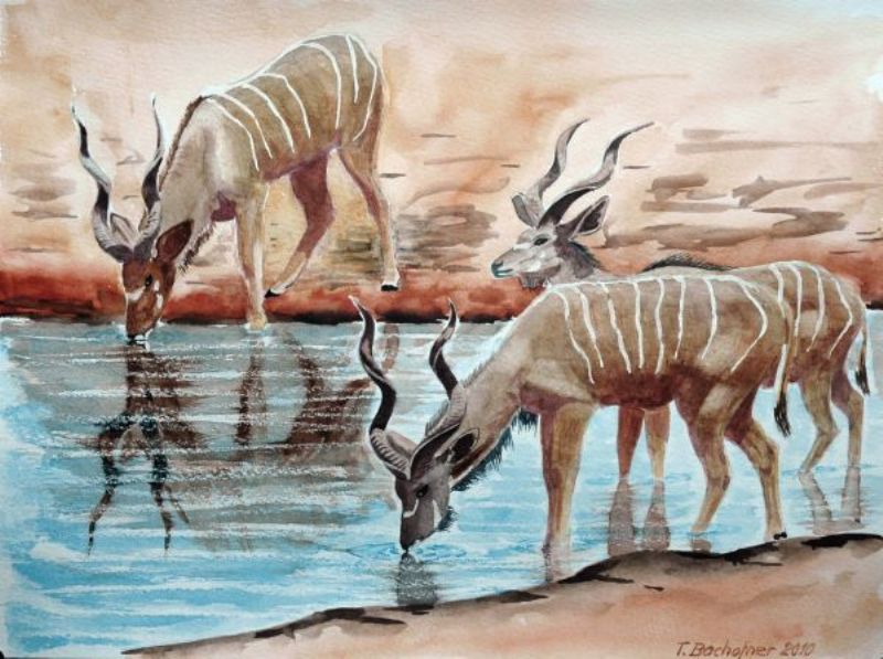 Toni Bachofner - «African Impressions»