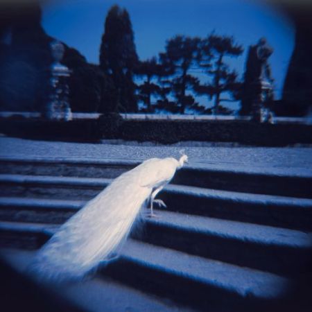 Simone Kappeler – «Seile. Fluss. Nacht.»