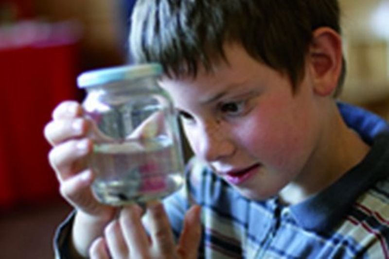 Informationsmorgen der Rudolf Steiner Schule Schaffhausen