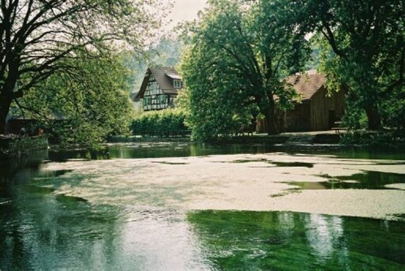 Aach: Hier tritt das Donauwasser zutage