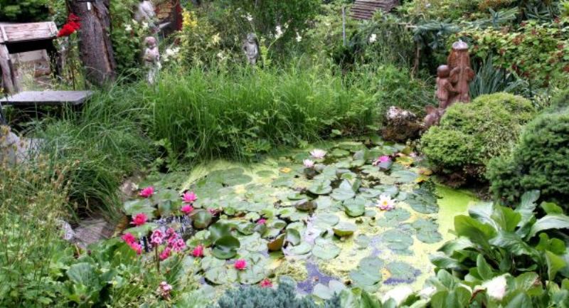 Grenzenloses Gartenerlebnis Hegau-Schaffhausen