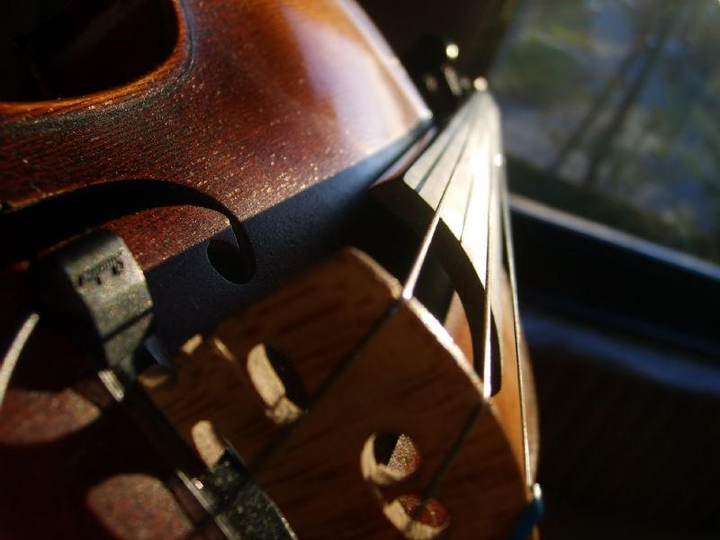 Musikschule SH