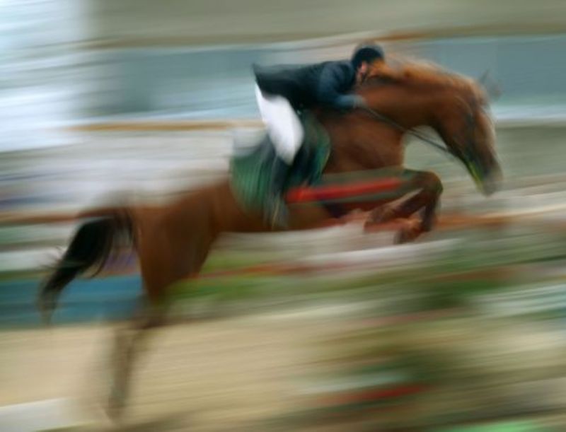 Schweizermeisterschaft im Springreiten