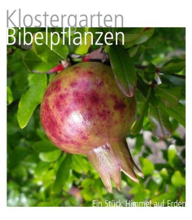 Bibelpflanzen im Kräutergarten