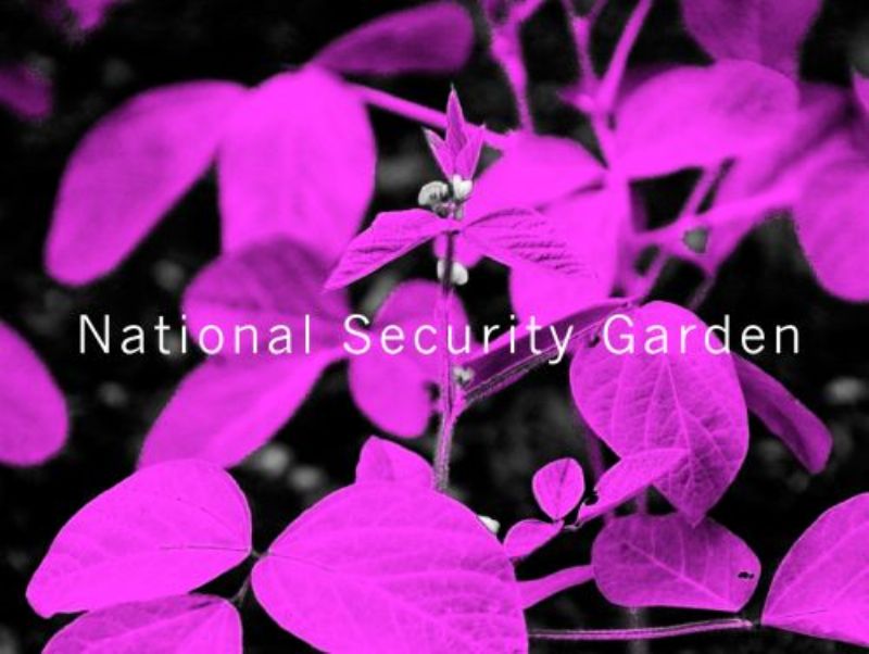National Security Garden 