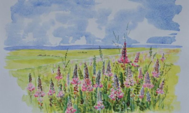 Rudolf Stamm – «Blumenwiesen»