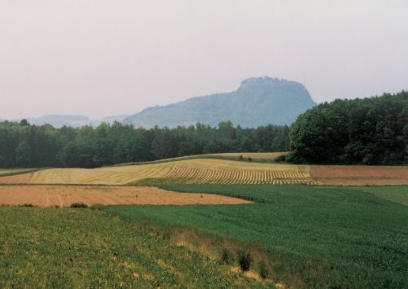 Rund um den Hohentwiel 