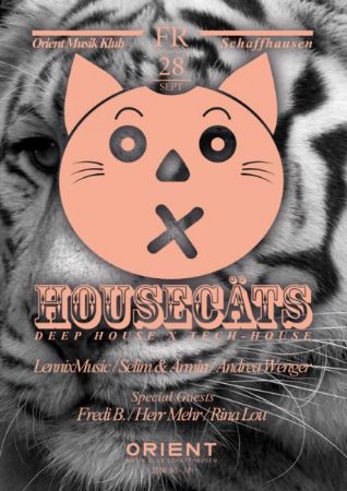 Housecäts