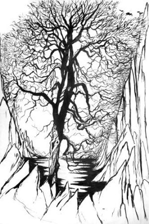 Nina Weber – «Land aus Glas»