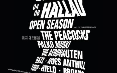 OpenAir Hallau