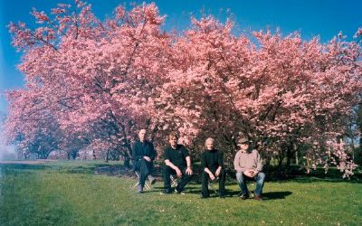 Element Of Crime (D)