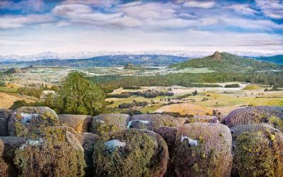 Der «Hegau» soll ins Museum