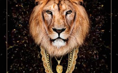 Rumble in the Jungle - Silvester Turn Up!
