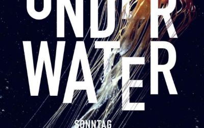 Under Water Silvester Party