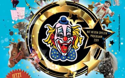 Zirkus Stey